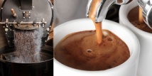 Coffee Facts